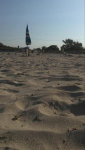 Torre San Giovanni, il Comitato di cittadini protesta: “Spiaggia libera poco fruibile, tutta occupata: il Comune intervenga” - Corriere Salentino