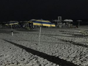 Torre San Giovanni, il Comitato di cittadini protesta: “Spiaggia libera poco fruibile, tutta occupata: il Comune intervenga” - Corriere Salentino