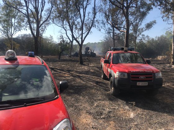 Divampano le fiamme: a fuoco alberi e macchia. Distrutto un camper - Corriere Salentino