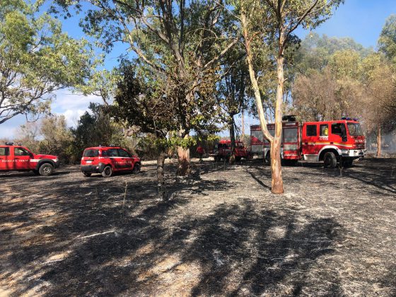 Divampano le fiamme: a fuoco alberi e macchia. Distrutto un camper - Corriere Salentino