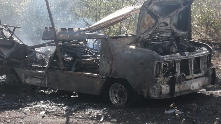 Divampano le fiamme: a fuoco alberi e macchia. Distrutto un camper - Corriere Salentino