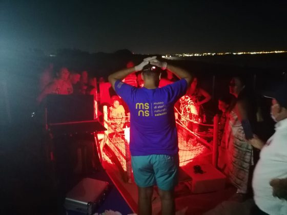 A Lido Conchiglie la prima schiusa di tartarughe dell'estate 2021: nate le prime 17 Caretta caretta - Corriere Salentino