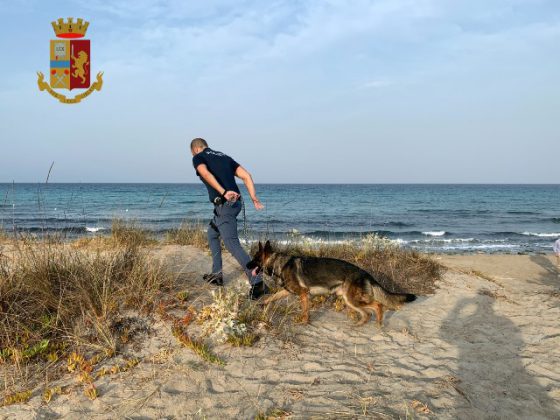 Blitz all'alba, "rastrellata" la pineta di Baia Verde: due arresti per droga, sette espulsioni - Corriere Salentino