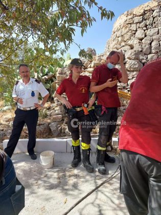 Scivola nella cisterna e ci rimane per giorni: cagnolino salvato dai vigili del fuoco - Corriere Salentino