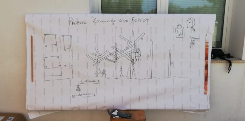 Al via un workshop gratuito per la costruzione di una Community Wood Forest - Corriere Salentino