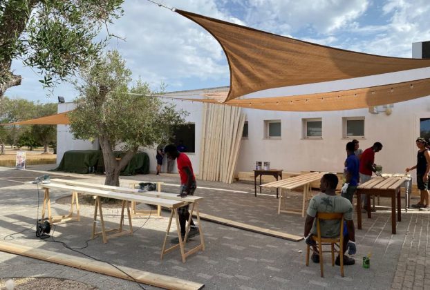 Al via un workshop gratuito per la costruzione di una Community Wood Forest - Corriere Salentino