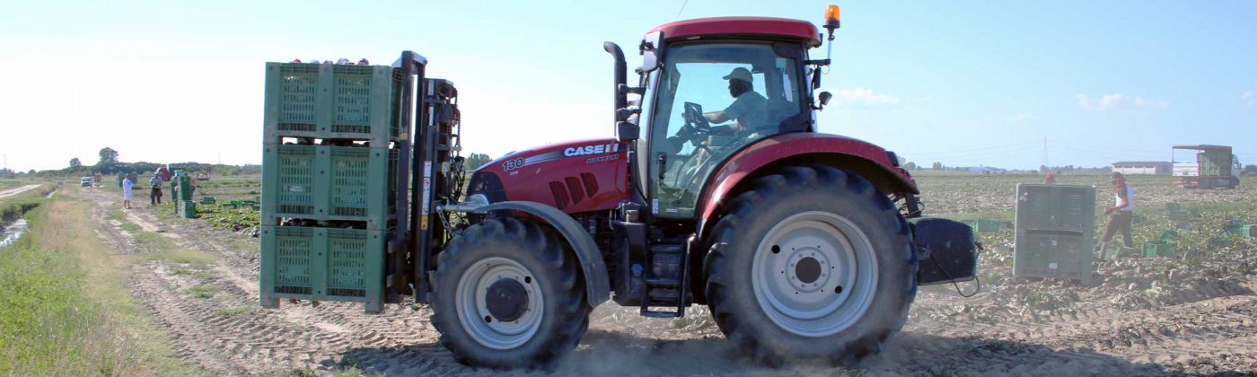 “Terra, privilegiamo l’uso e non la proprietà”: le migliori esperienze italiane alla Notte Verde - Corriere Salentino