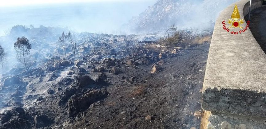 Inferno di fuoco a Porto Badisco: panico tra la gente, turisti in fuga. Evacuate abitazioni - Corriere Salentino