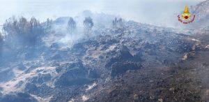 Porto Badisco: in fiamme 45 ettari, ancora in corso le operazioni di spegnimento - Corriere Salentino