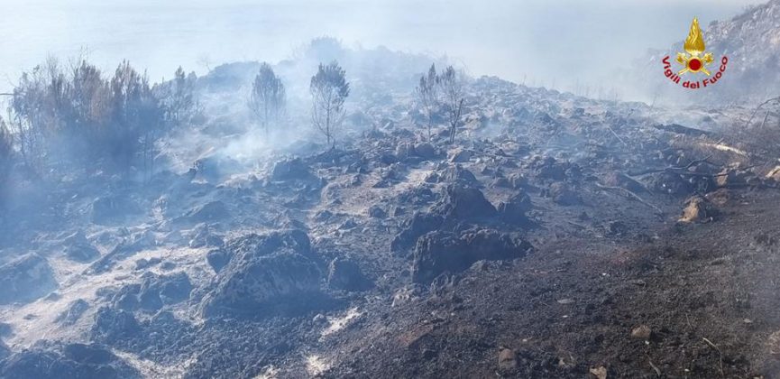 Inferno di fuoco a Porto Badisco: panico tra la gente, turisti in fuga. Evacuate abitazioni - Corriere Salentino