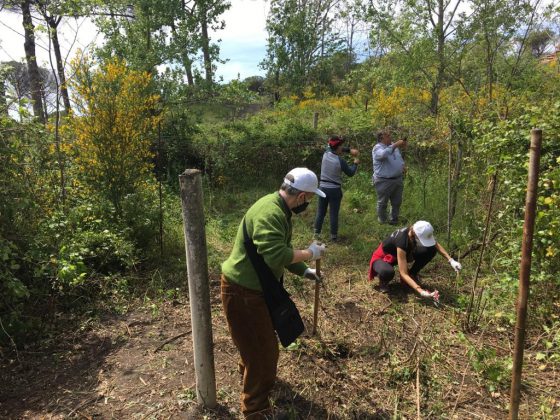 “Terra, privilegiamo l’uso e non la proprietà”: le migliori esperienze italiane alla Notte Verde - Corriere Salentino