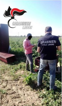 Lavoratori "in nero", norme di sicurezza violate, sfruttamento: irregolari 20 aziende su 27 - Corriere Salentino