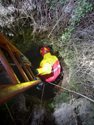 Cane da caccia precipita nel pozzo: Bella salvata dai vigili del fuoco - Corriere Salentino