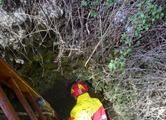 Cane da caccia precipita nel pozzo: Bella salvata dai vigili del fuoco