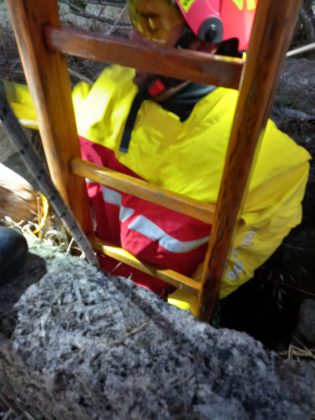 Cane da caccia precipita nel pozzo: Bella salvata dai vigili del fuoco - Corriere Salentino