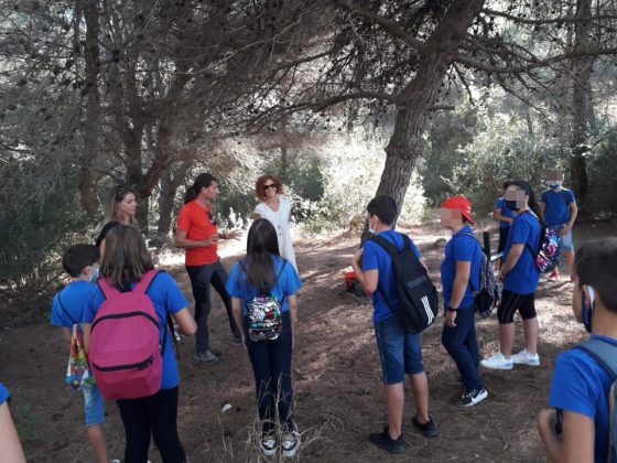 La scuola in bosco: laboratori e attività per ragazzi a Torre dell'Orso - Corriere Salentino