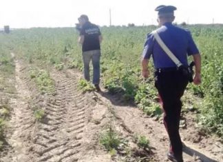 Lavoratori “in nero”, norme di sicurezza violate, sfruttamento: irregolari 20 aziende su 27