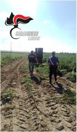 Lavoratori "in nero", norme di sicurezza violate, sfruttamento: irregolari 20 aziende su 27 - Corriere Salentino