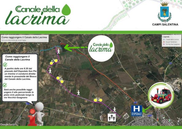 Nasce l'oasi naturalistica itinerante del bosco ripariale della lacrima nell'agro di Campi Salentina - Corriere Salentino