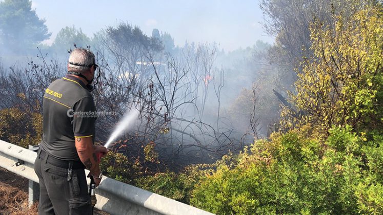 Fiamme sulla Lecce - San Cataldo, tornano i piromani nel Salento: distrutti 10 ettari di vegetazione - Corriere Salentino