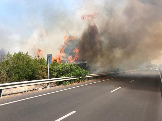 Fiamme sulla Lecce - San Cataldo, tornano i piromani nel Salento: distrutti 10 ettari di vegetazione - Corriere Salentino