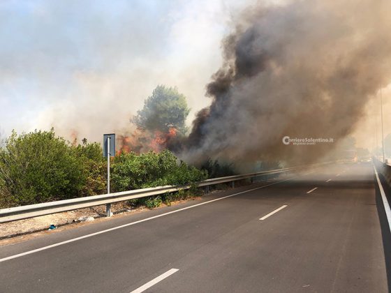 Fiamme sulla Lecce - San Cataldo, tornano i piromani nel Salento: distrutti 10 ettari di vegetazione - Corriere Salentino