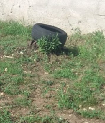Brucia pneumatici fuori uso sul terreno di proprietà: denunciato - Corriere Salentino