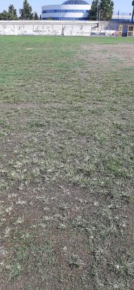 Frasca: "Stadio di Nardò in condizioni pietose, da manto erboso a campo di patate" - Corriere Salentino