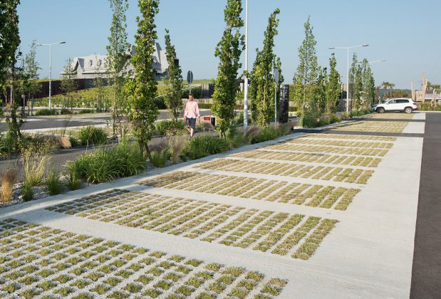 Cambiamenti climatici, Piazza San Michele Arcangelo diventa più verde e “permeabile” - Corriere Salentino