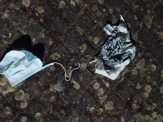 Paura in villa, scatta la rissa e volano bottiglie: "Adesso basta, si garantisca la sicurezza dei bambini" - Corriere Salentino