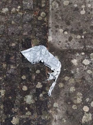 Paura in villa, scatta la rissa e volano bottiglie: "Adesso basta, si garantisca la sicurezza dei bambini" - Corriere Salentino