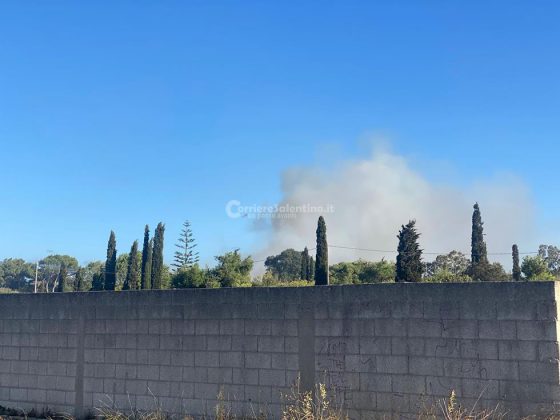 Divampano le fiamme, in fumo ettari di vegetazione: chiuso un tratto della provinciale - Corriere Salentino