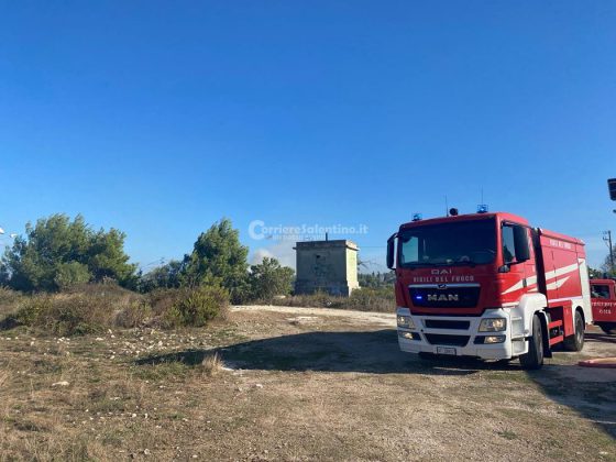 Divampano le fiamme, in fumo ettari di vegetazione: chiuso un tratto della provinciale - Corriere Salentino