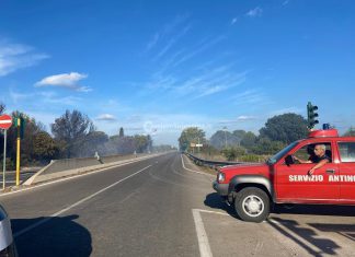 Divampano le fiamme, in fumo ettari di vegetazione: chiuso un tratto della provinciale