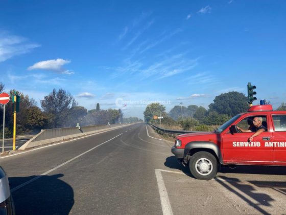 Divampano le fiamme, in fumo ettari di vegetazione: chiuso un tratto della provinciale - Corriere Salentino