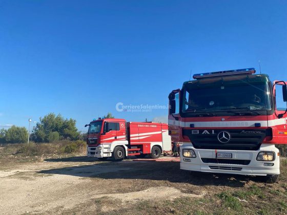 Divampano le fiamme, in fumo ettari di vegetazione: chiuso un tratto della provinciale - Corriere Salentino