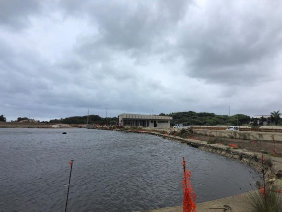 Darsena di San Cataldo: ripresi i lavori a terra, posidonia da conferire in discarica - Corriere Salentino