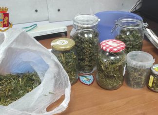 Piante di marijuana sul terrazzo, in casa fogliame ed infiorescenze: denunciato 50enne