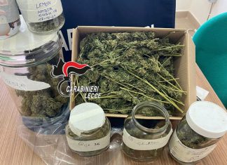 In casa quasi 4 etti di marijuana ed oltre 30 piantine di “erba”: ai domiciliari un 32enne