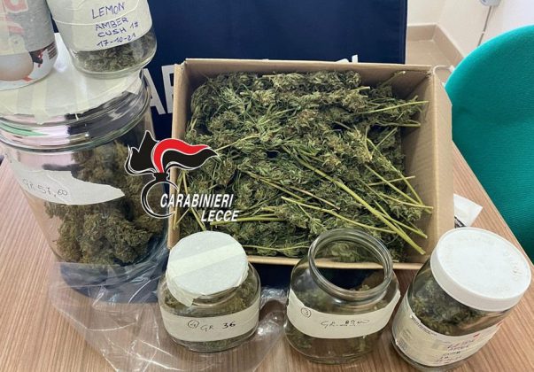 In casa quasi 4 etti di marijuana ed oltre 30 piantine di "erba": ai domiciliari un 32enne - Corriere Salentino
