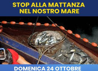 IL MRS torna in campo, sit-in contro la mattanza nel mare salentino
