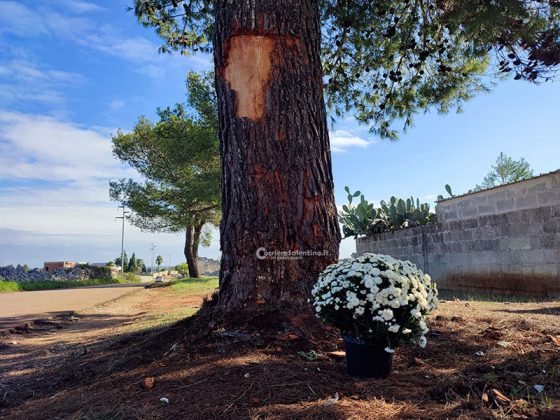 Si allunga la scia di sangue sulle strade salentine. Auto contro un albero: muore 24enne - Corriere Salentino