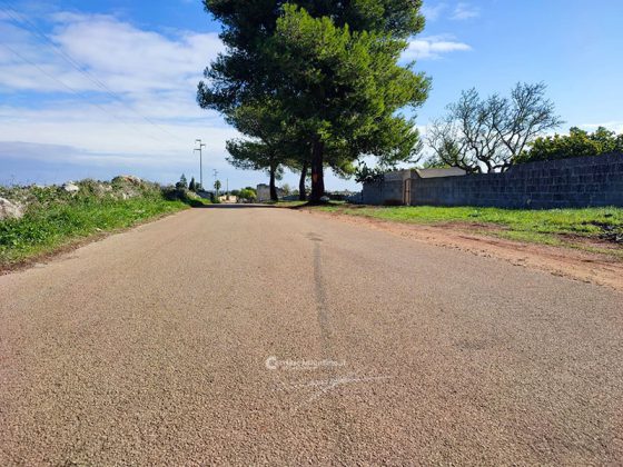 Si allunga la scia di sangue sulle strade salentine. Auto contro un albero: muore 24enne - Corriere Salentino