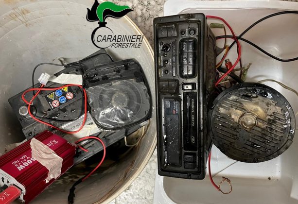 Sversa i liquami dell'allevamento direttamente sul terreno e suolo pubblico, denunciato. Sequestrati 4 richiami illegali - Corriere Salentino