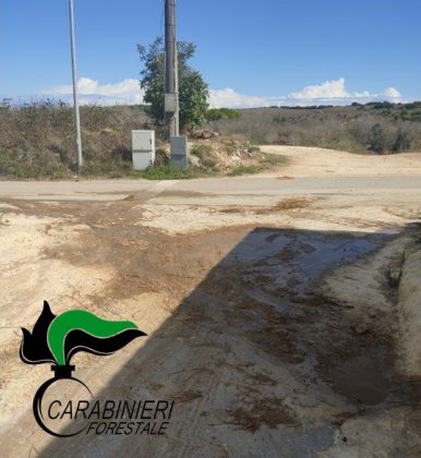 Sversa i liquami dell'allevamento direttamente sul terreno e suolo pubblico, denunciato. Sequestrati 4 richiami illegali - Corriere Salentino