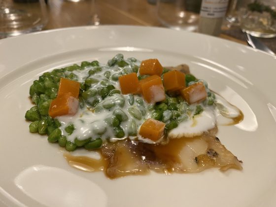 Sua maestà la pasta corteggiata da sei chef, a Gallipoli la serata ideata da Alessio Gubello - Corriere Salentino