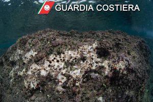 A pesca di datteri in area marina protetta, nei guai un giovane sub di Veglie - Corriere Salentino