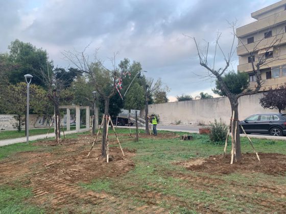 Lecce, al via il reimpianto degli alberi al Parco Baden Powell - Corriere Salentino