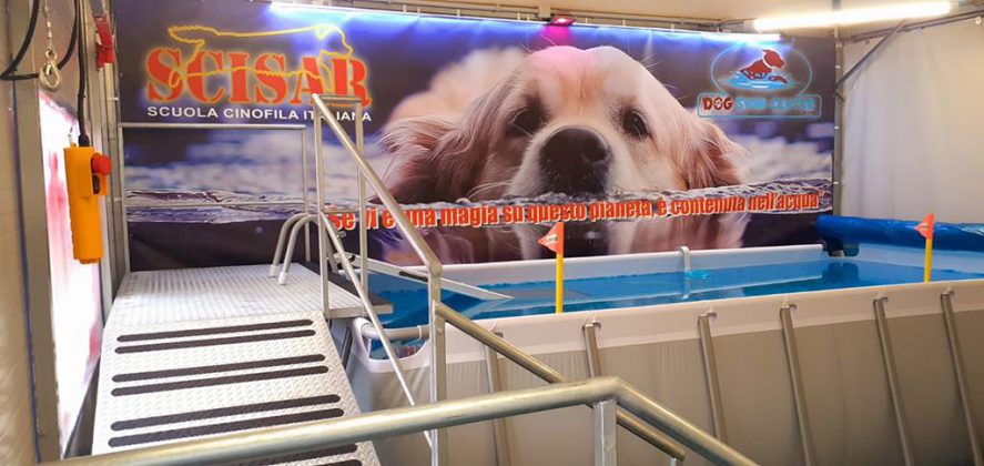 Inaugurata ad Arnesano la nuova "Area di idroterapia - Piscina per cani terapeutica e riabilitativa" - Corriere Salentino