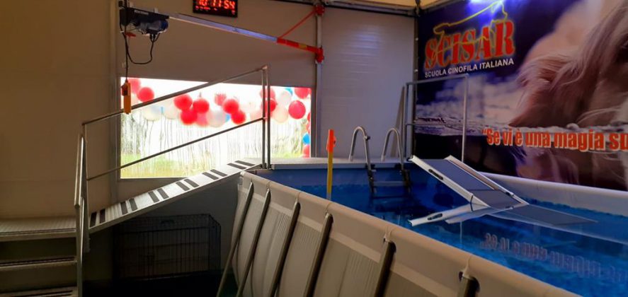 Inaugurata ad Arnesano la nuova "Area di idroterapia - Piscina per cani terapeutica e riabilitativa" - Corriere Salentino